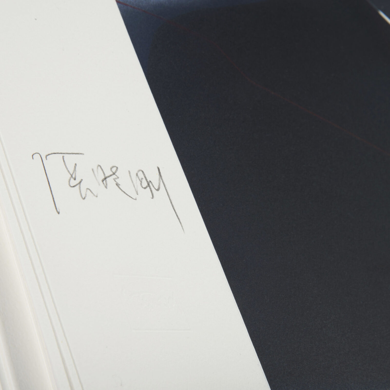 Artwork by Zhang Xiaogang, The Storyteller´s Enchantments (Portfolio of 20), Made of Litography 