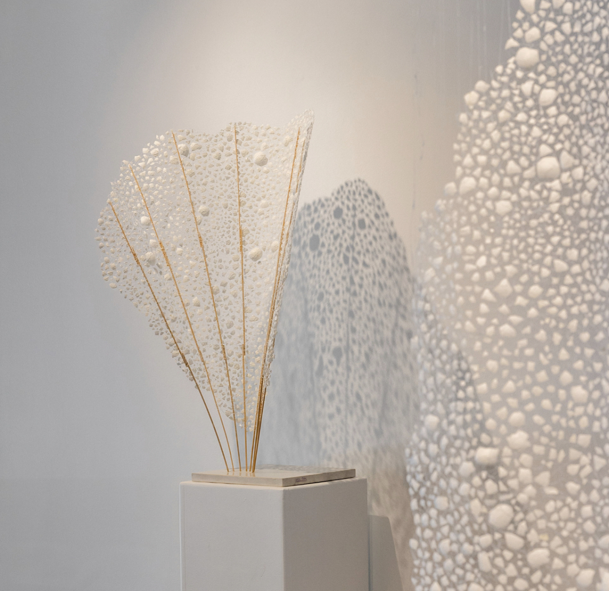 Egg Shell Fan by Ziva Ben Arav Rabinovitz, null
