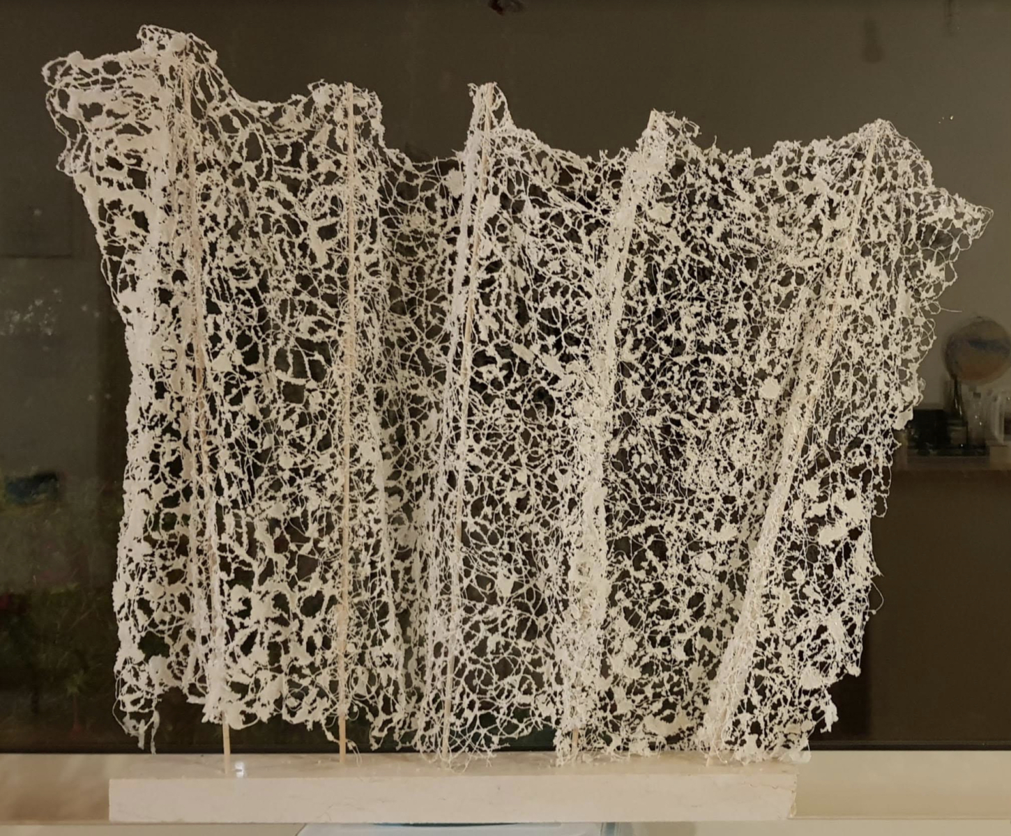 Salt Screen by Ziva Ben Arav Rabinovitz, null