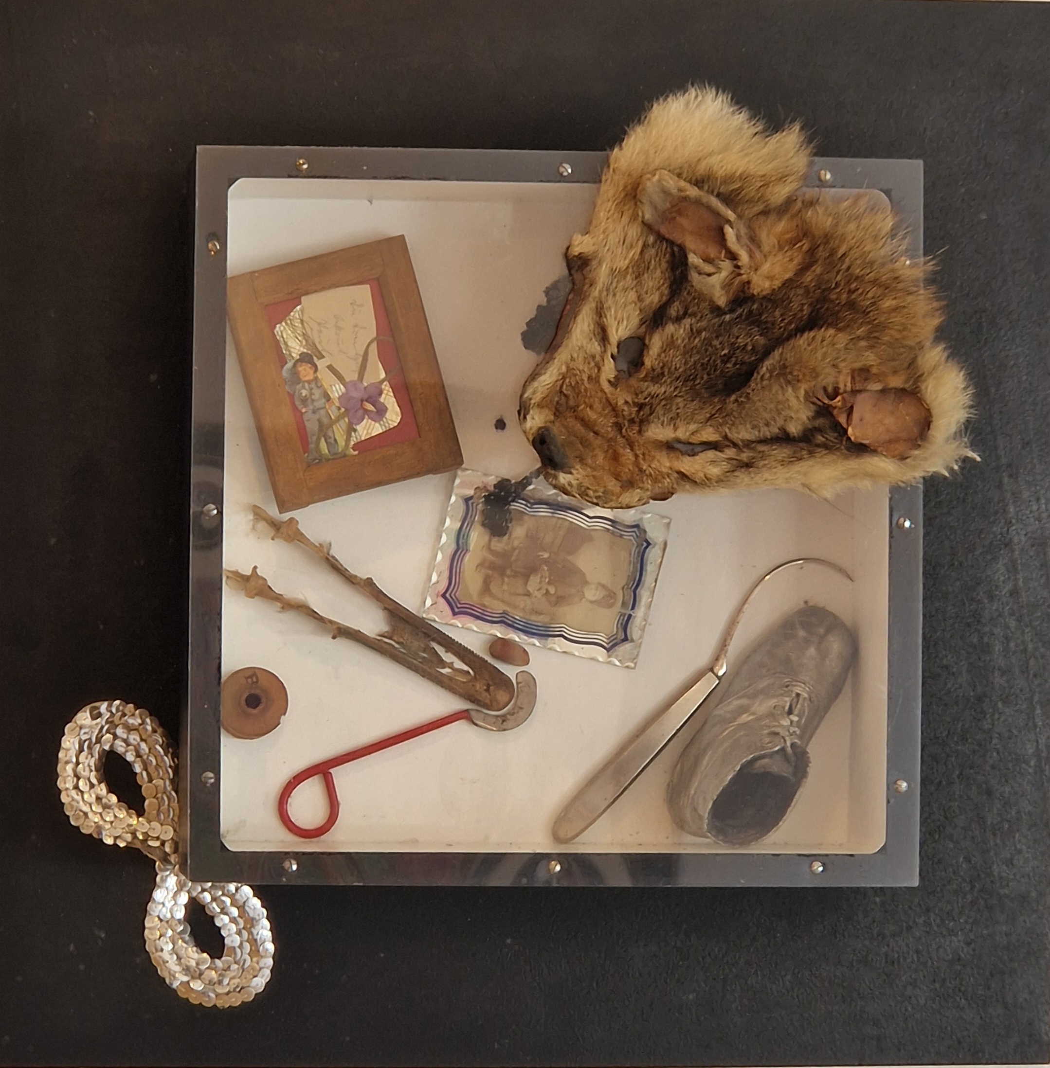 A tray with a stuffed animal head on top of it.