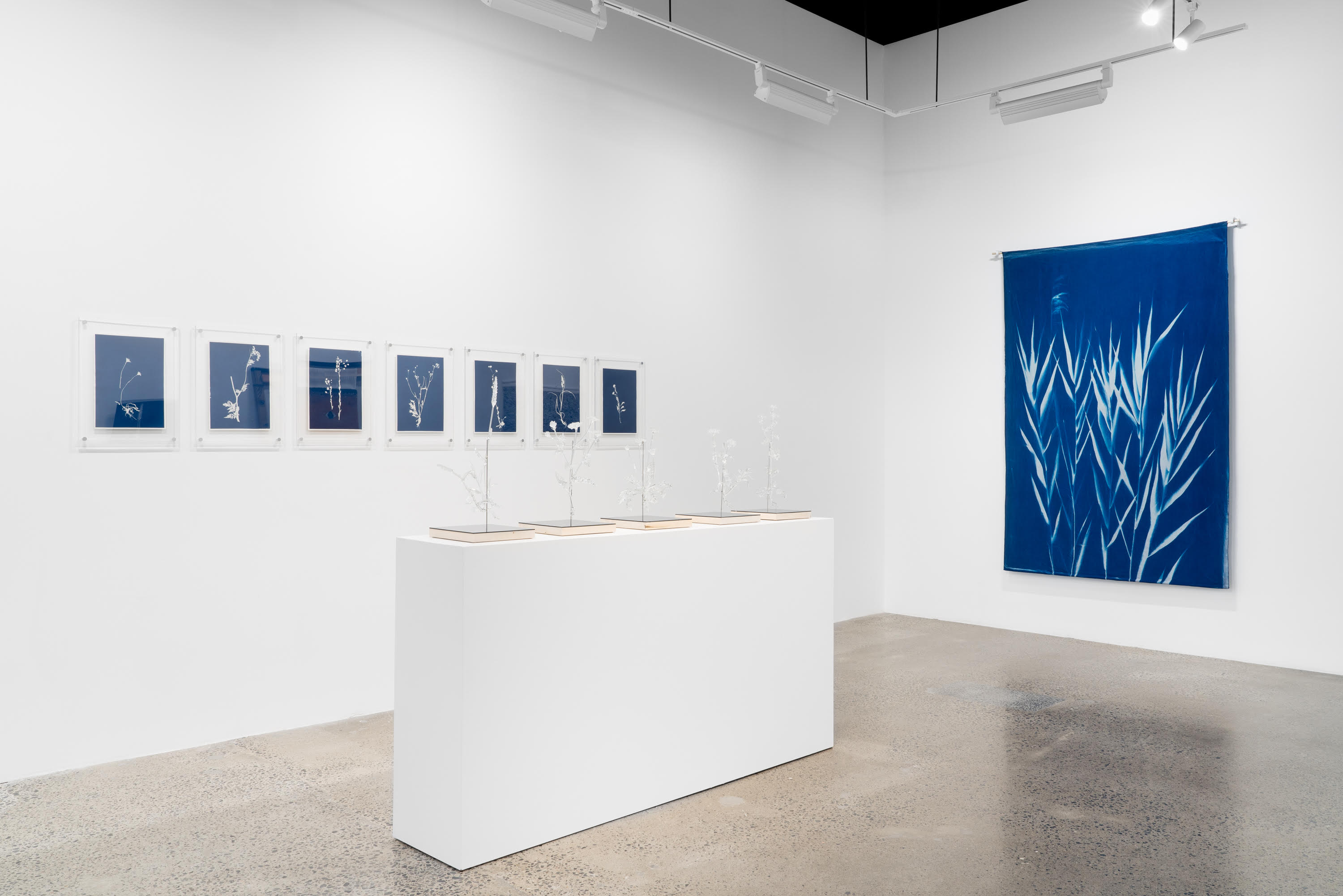 Gallery space image - Duran Contemporain