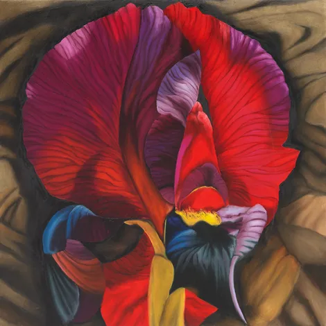 A painting of a red and purple flower on a brown background.