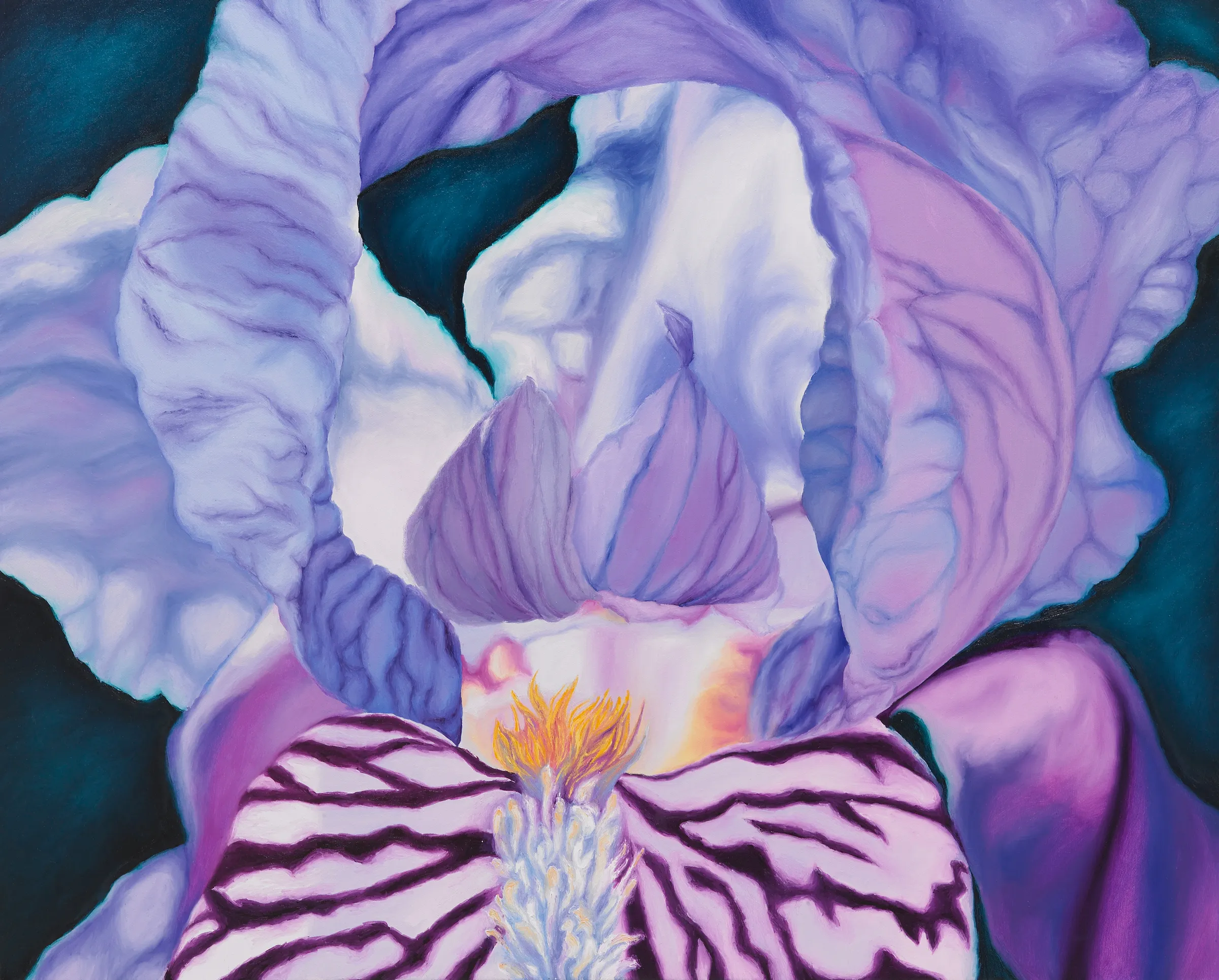 A painting of a purple and white iris flower on a blue background.