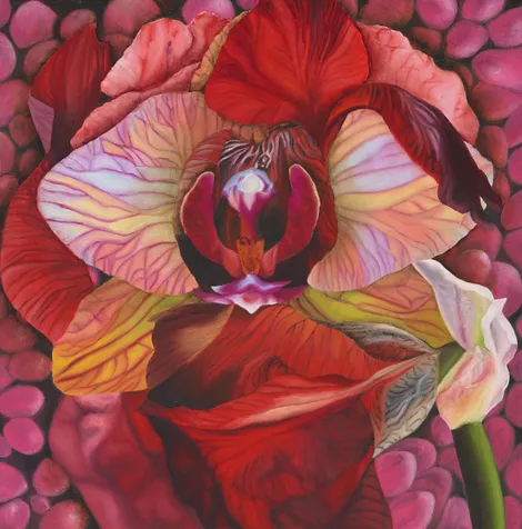 A painting of a red and yellow flower on a pink background.