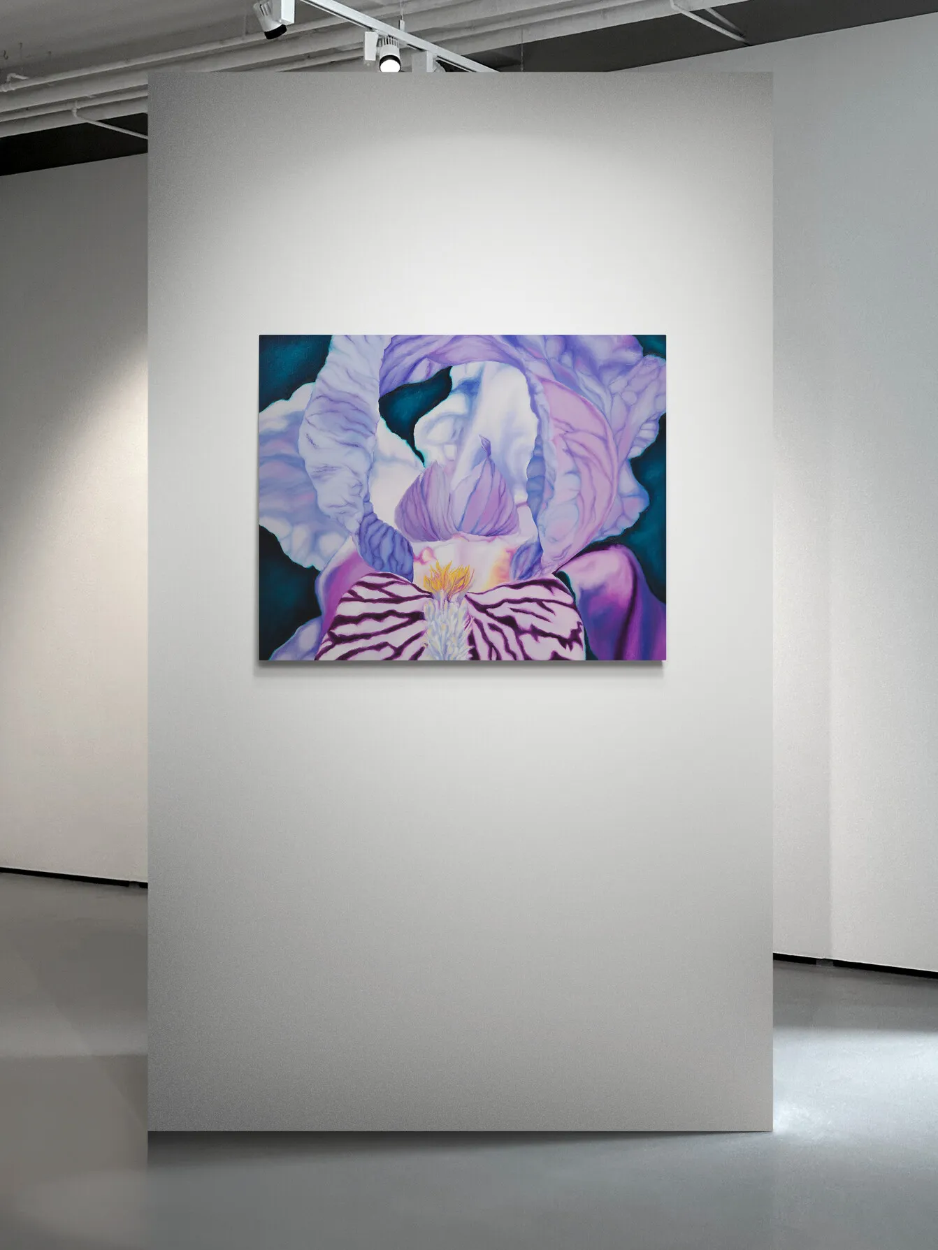 A painting of a purple and white iris flower on a blue background.