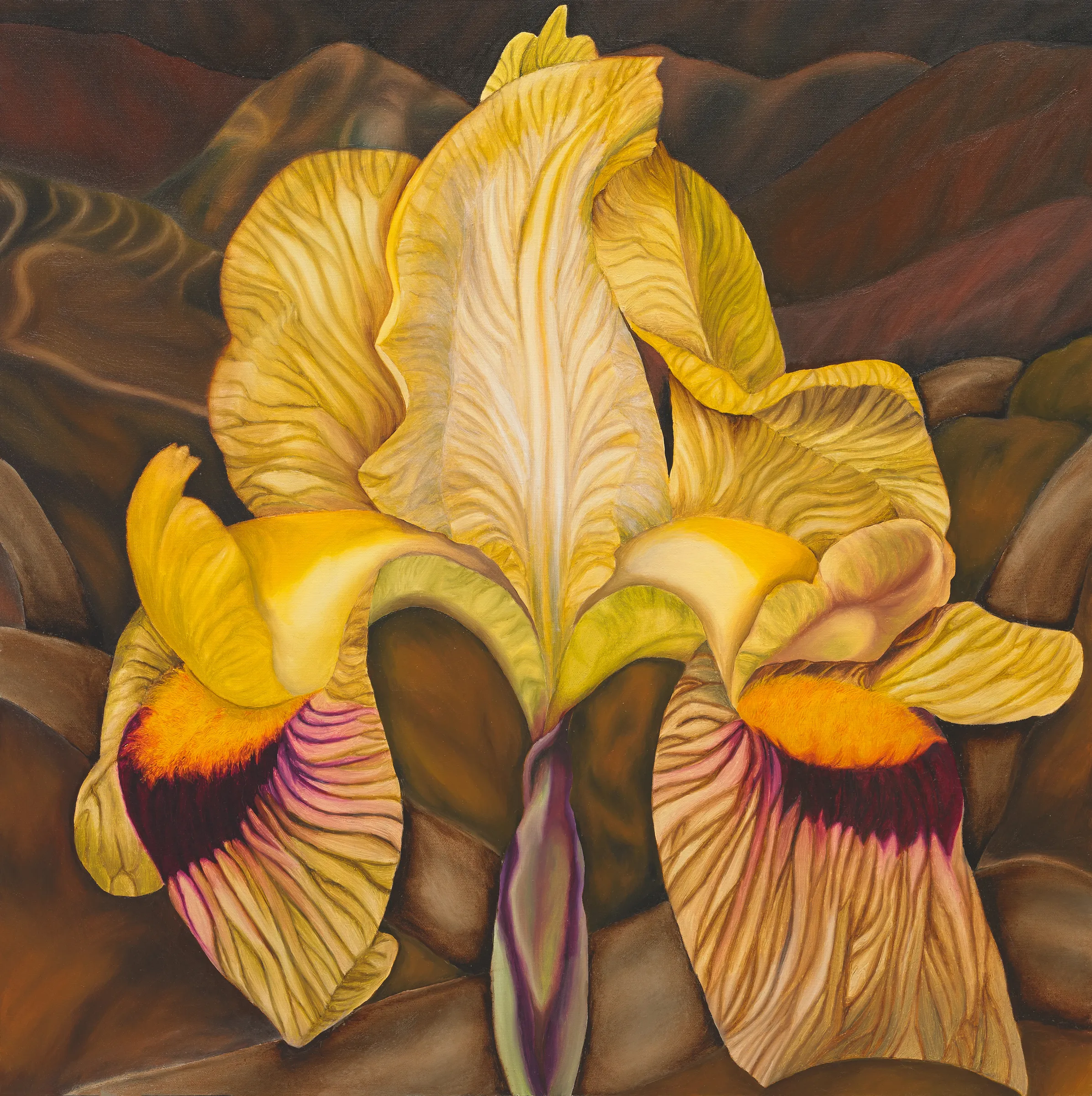 A painting of two yellow iris flowers on a brown background.