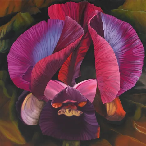 A painting of two purple and red iris flowers on a black background.