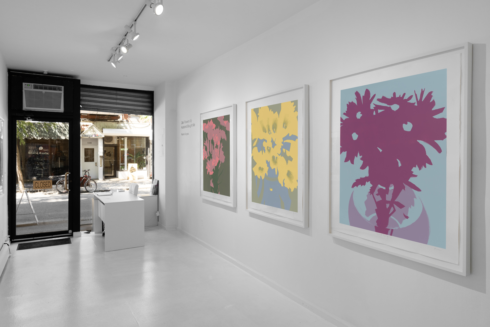 Gallery space image - Susan Eley Fine Art