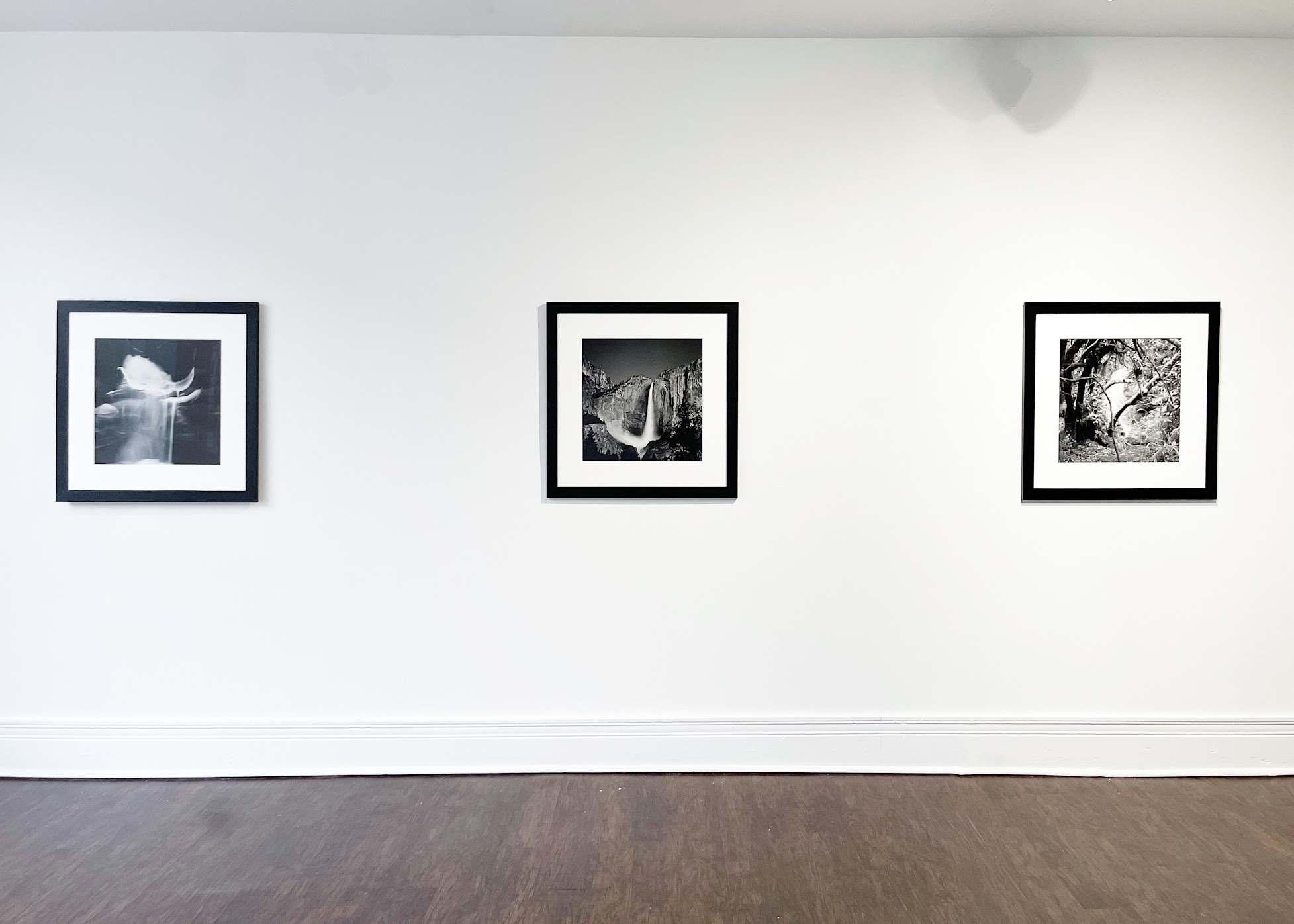 Gallery space image - Susan Eley Fine Art