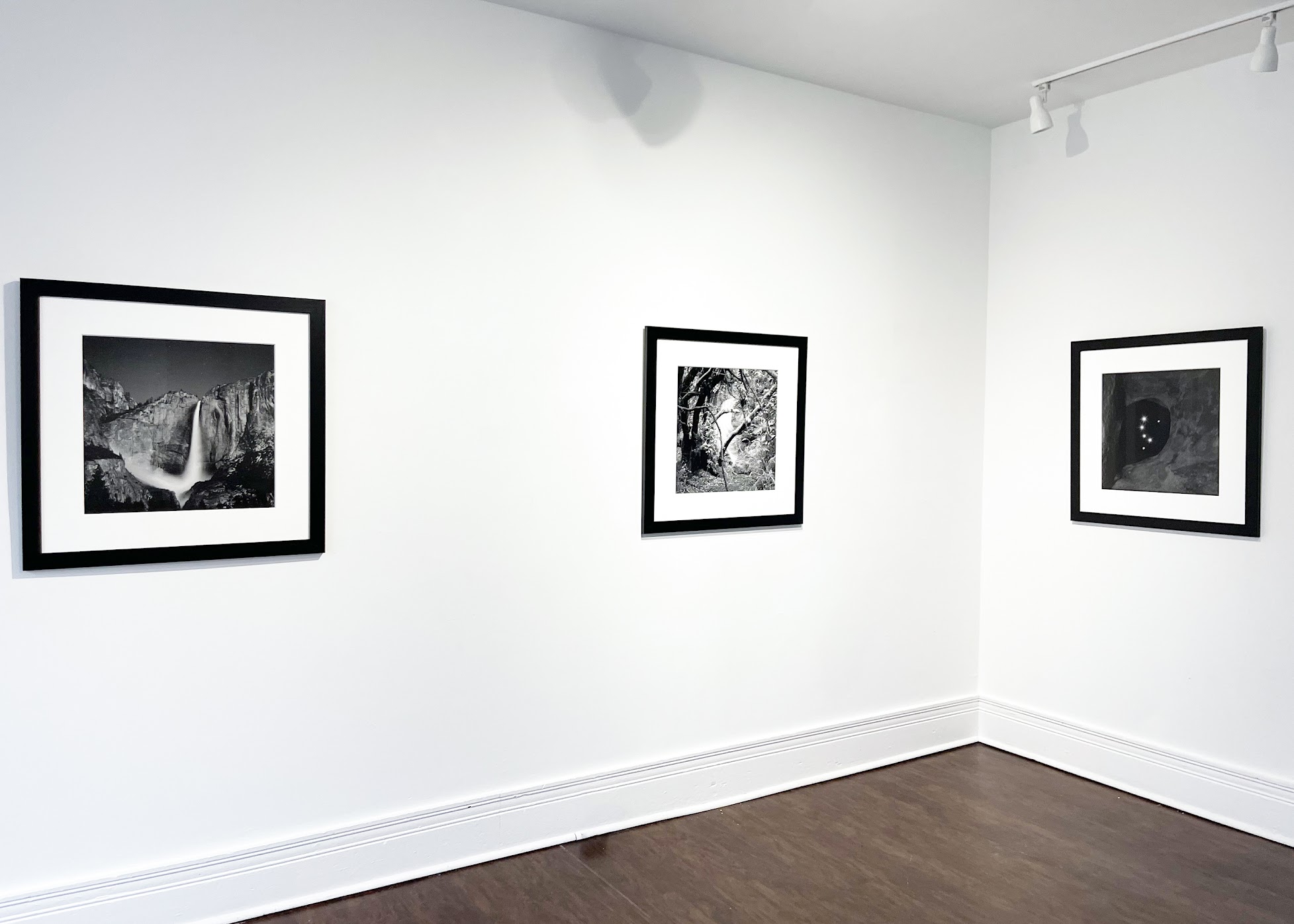 Gallery space image - Susan Eley Fine Art