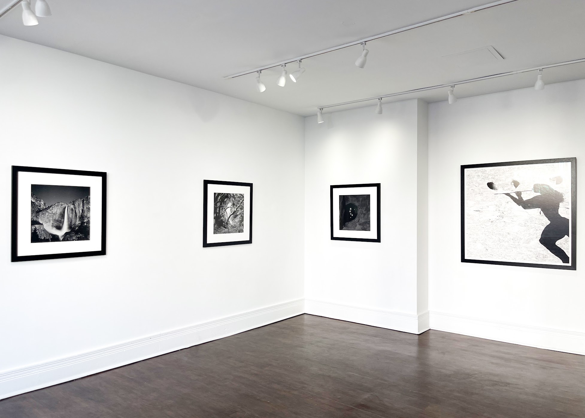 Gallery space image - Susan Eley Fine Art